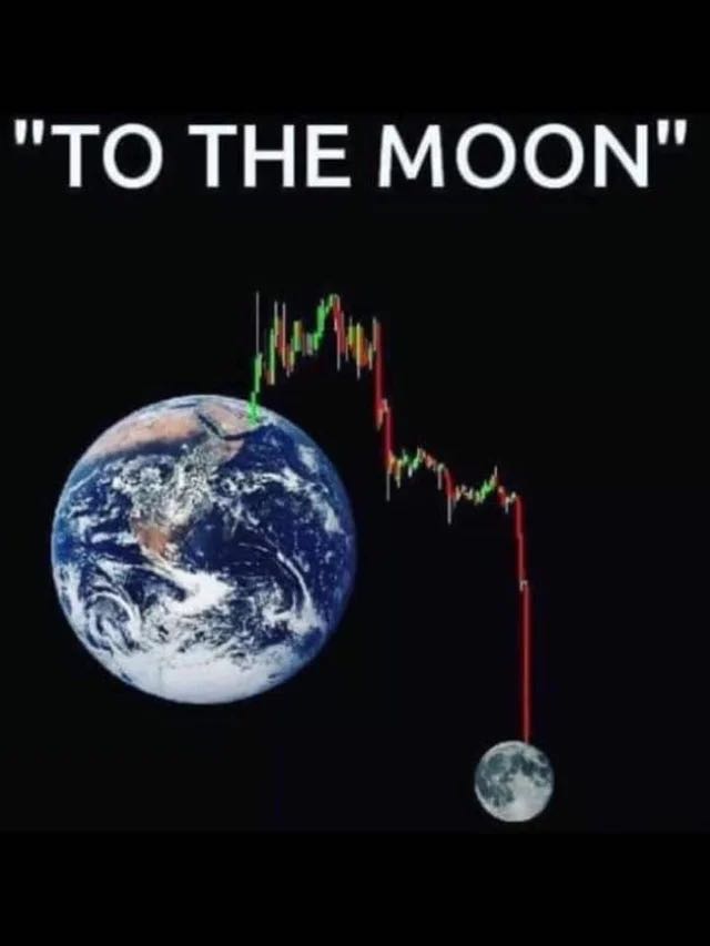 People who brought Space X be like