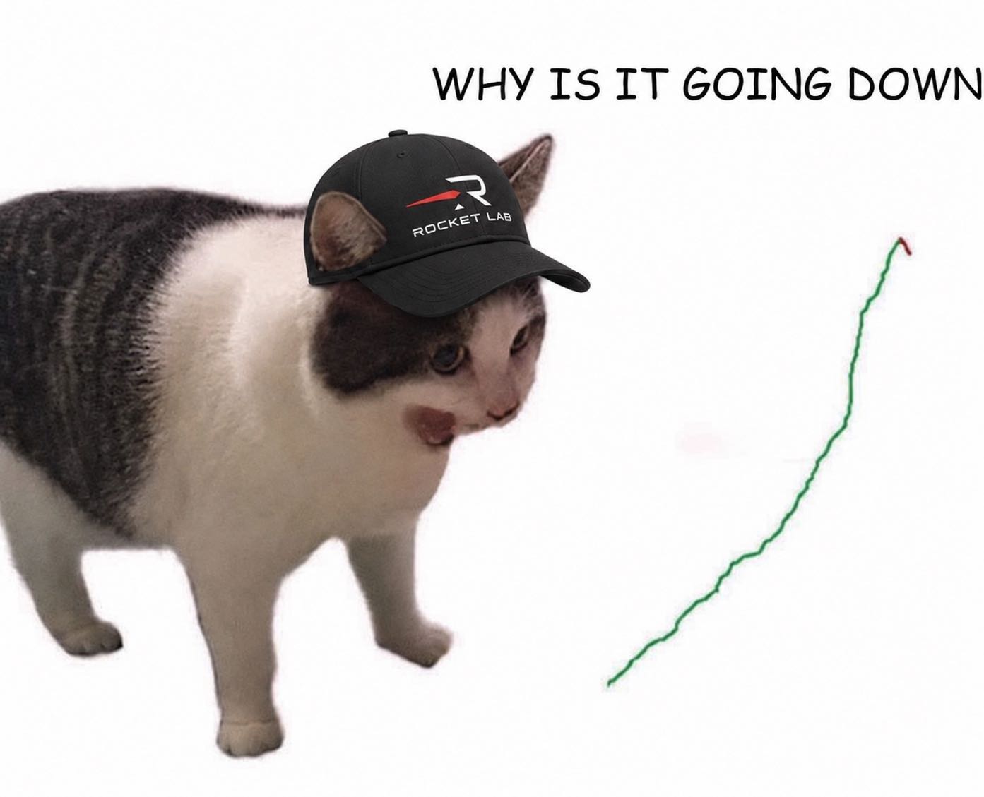 Always buy the dip 🚀